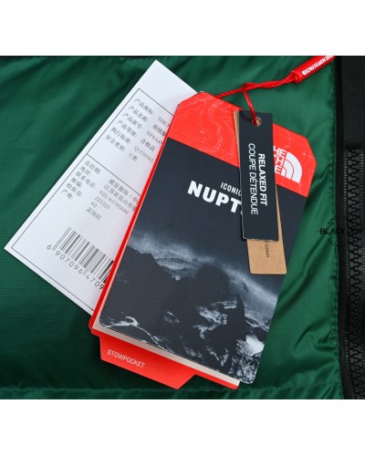 Smanicato Giacca The north face RETRO NUPTSE verde jacket The north face