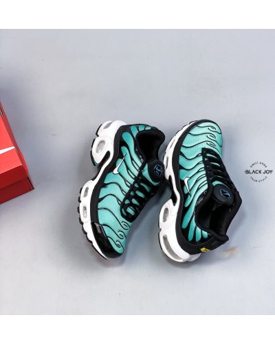 Nike TN air max plux sneakers nike TN
