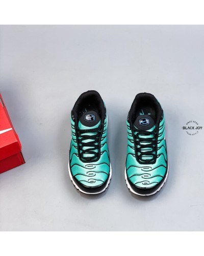 Nike TN air max plux sneakers nike TN
