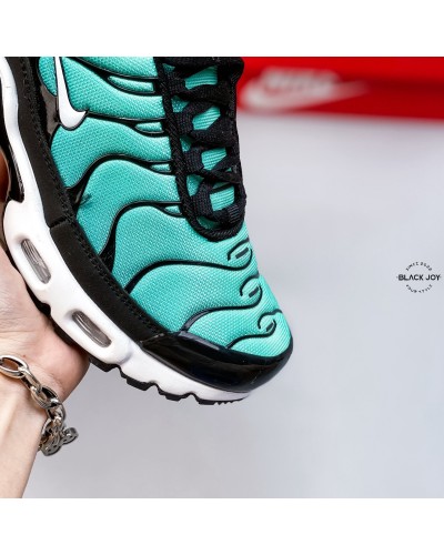 Nike TN air max plux sneakers nike TN