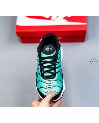 Nike TN air max plux sneakers nike TN