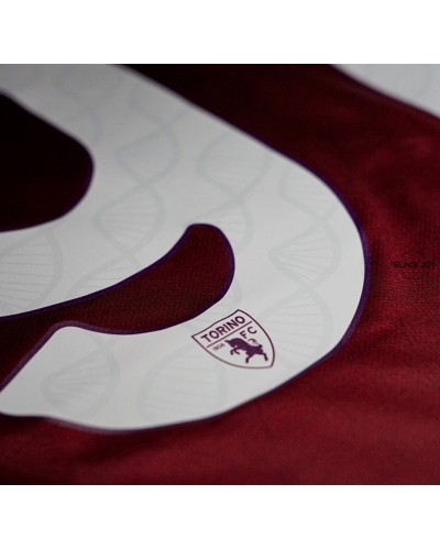 Torino maglia calcio home 24/25 suzuki